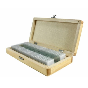 Set of 50 Biological Specimens