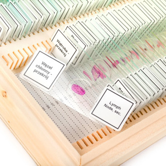 Biological Specimens Set 100