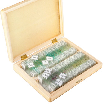 Biological Specimens Set 100