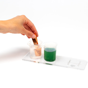 Fruit Battery Clock and Electrochemistry Experiment Kit