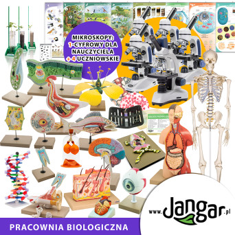 Biological Laboratory – Basic Equipment Set