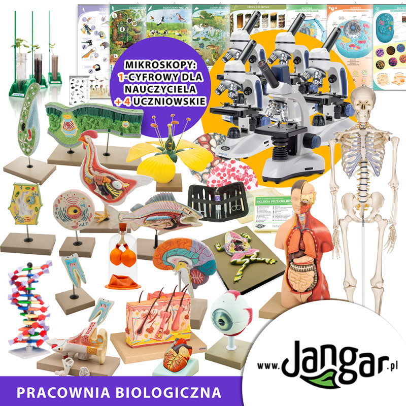 PRACOWNIA BIOLOGICZNA – zestaw wyposażenia podstawowego