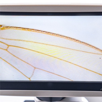 Biological Microscope 600x-LED with 7 cal LCD Screen and Mechanical Stage