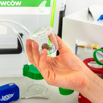 Invertebrate Catching and Labeling Kit