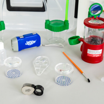 Invertebrate Catching and Labeling Kit