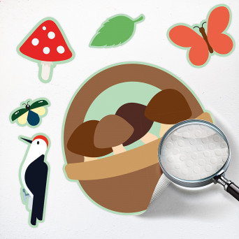 Educational Wall Stickers:  Forest