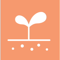 Точне дослідження та детальний аналіз ґрунту для освіти