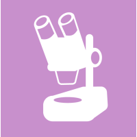 Стереоскопічні мікроскопи для навчання екології у школі