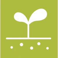 Екологія • Дидактичні матеріали • Jangar для шкіл та вчителів