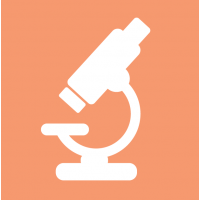 Microscopes, slides, optical instruments