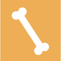 Скелети з пластику • навчальні помічники • Jangar