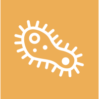 Мікроскопічні препарати для навчання біології у школі