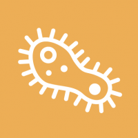 Мікроскопічні препарати • препарати до мікроскопа • Jangar